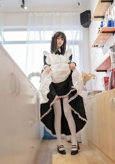 一条狗的回家路免费观看完整版_剧情片天堂在线
